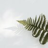 Yoga Music、Deep Sleep、Spa Music Relaxation - Wind Chill