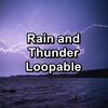 Sounds of Nature White Noise Sound Effects、Nature Recordings、Nature Spirit - Distant Rain Droplets with Sleeping Music