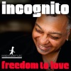 Incognito、Atjazz - Freedom To Love (Atjazz Astro Remix)