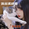 皮友、保安队长、腾金涛2 - 风火轮摇 (DJ版)