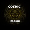 Superhero - Cosmic Safari