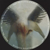 Pitch!、Gabriel Wnz - Engel Der Tenebris