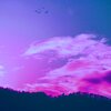 Edwng - Radiant