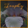 Alfredo Antonini - Trophy