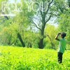Dmareae - For You (Explicit)