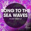 Andre Wildmar - Brollo Brollo Song