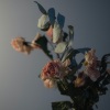 费囧 - ドライフラワー 干花