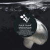 Pulse Plant - Shockwave (Original Mix)