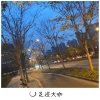 法迪 - 身边多了几条臭鱼烂虾 (欧美)
