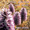 Mauro Nayamboo、neil black - Momento