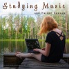 Study Playlist、Studying Music、Music For Studying《Study Music》[MP3/LRC]