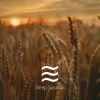 Calmful Soft Noisy Tones for Being Relaxed - Calming Relaxing Noises Tone for Relax