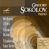 Grigory Sokolov - Tema