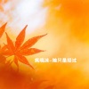 疯晓沫 - 她只是经过