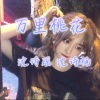 沈诗瑶、沈若 - 万里桃花