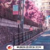枫总、在忠、陌路相逢 - IGotlove (DJ版)
