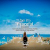 Tom Bro《Peaceful (AaronDmitriewVocalRemix)》[MP3/LRC]