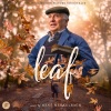 Leaf - Leaf