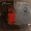 Gaechinger Cantorey、Hans-Christoph Rademann - St. Matthew Passion, BWV 244, Pt. 1: No. 1, Kommt, ihr Töchter, helft mir klagen