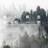 放松睡眠音乐 - 故乡的风景|古筝经典纯音乐