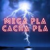 Dj Regaeton - Mega Pla Cacha Pla