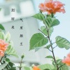 气质颜王 - 别回来