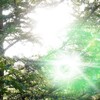 432HZ MUSIC JAPAN、横内 丙午 - ゆりかごの歌