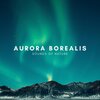 Natural Sounds、Natural Sounds Selections、Zen Sounds - Intro