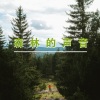 轻松纯音乐 - 森林的声音