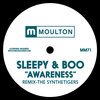 Sleepy & Boo - Awareness (The SyntheTigers Remix)