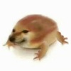 鱼月Ko - え?あぁ、そう/诶?啊,嗦