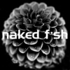 Naked Fish、karl erik pedersen - Ikke Mer' At Sige