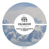 Zalvador - Spacey