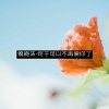 疯晓沫 - 终于可以不再爱你了