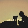 Ali Davis - Adopt a Pet!