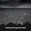 Tino Aureli - Calling