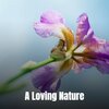 D. Silverstone - A Loving Nature