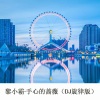 黎小霸 - 手心的蔷薇 (DJ版)
