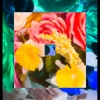 Dox - Black rose