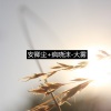 安卿尘、疯晓沫 - 大雾