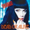 Stephen Coy、Dead or Alive、Simon Barnecott、Peter Burns《Hit and Run Lover》[MP3/LRC]