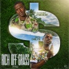 Young Dolph、Bankroll Freddie - Rich Off Grass (Remix)