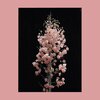 DECIDUOUS - Wanderlust (Explicit)