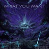 Daniel Sherman - What You Want
