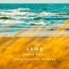 贵族音乐深度睡眠 - 夜晚沙滩的海浪声