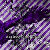 ViViD - Across The Border