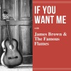 James Brown & The Famous Flames - (Do the) Mashed Potatoes (Part 1)