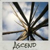 Andrew Gower - Ascend