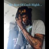 Cooli Highh - Trippy Tails (Explicit)