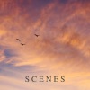 Scenes - When I Get Old